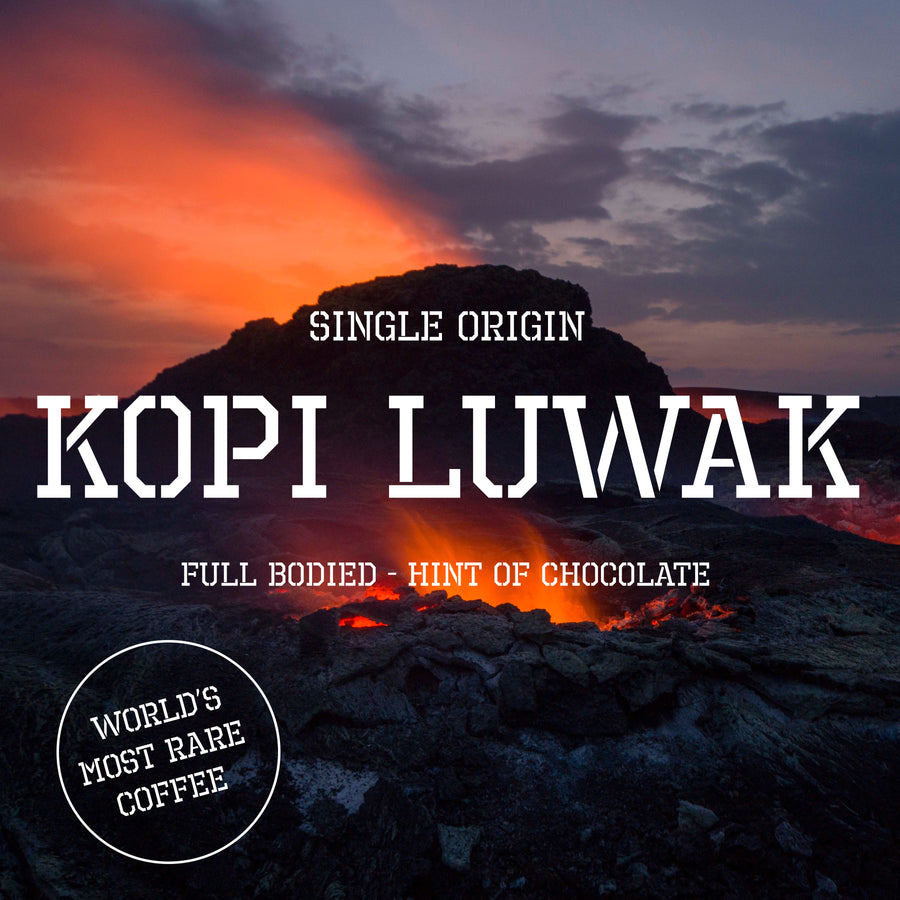 Kopi Luwak